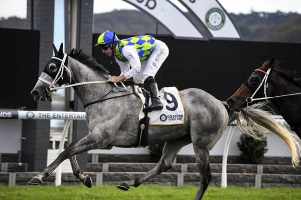 Kiwi trio vying for Cup glory