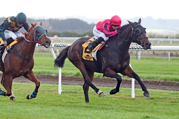 Seajetz an impressive winner for Richards at Hawera