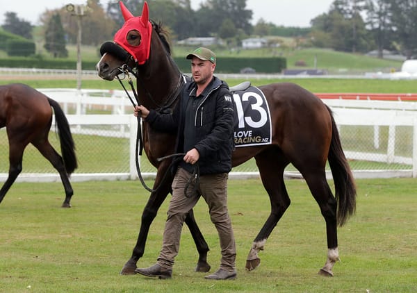 Stevens realises life-long dream