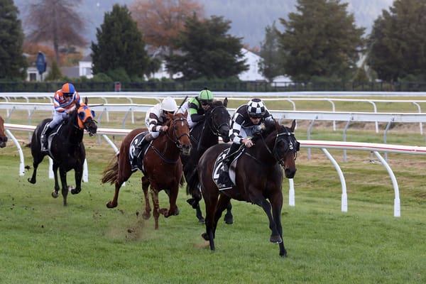 Sinarahma all class in Rotorua Cup sign-off