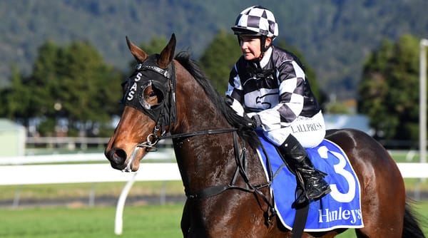 Sophmaze ready for stakes challenge after Trentham victory