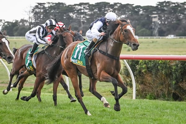 Zahra predicts Tavisteel turnaround