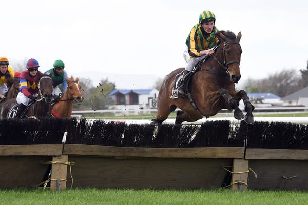 New stable for top jumper