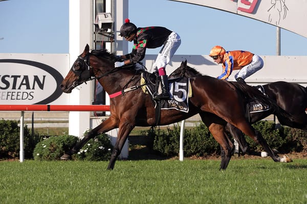 Easter Handicap winner to race in Dubai