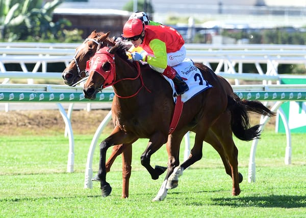 Second stakes success for Charmmebaby