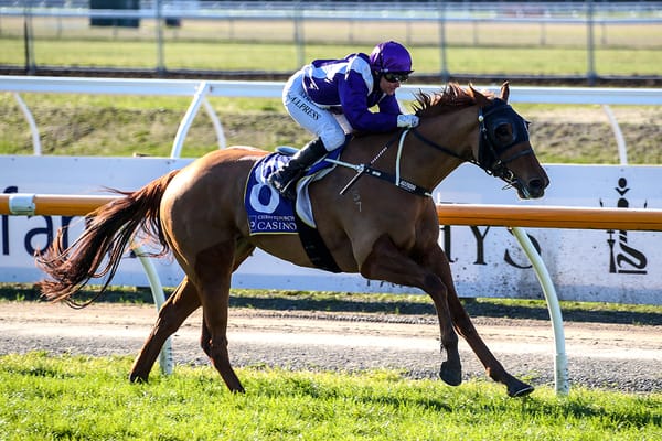 Chilly Filly set to bring the heat