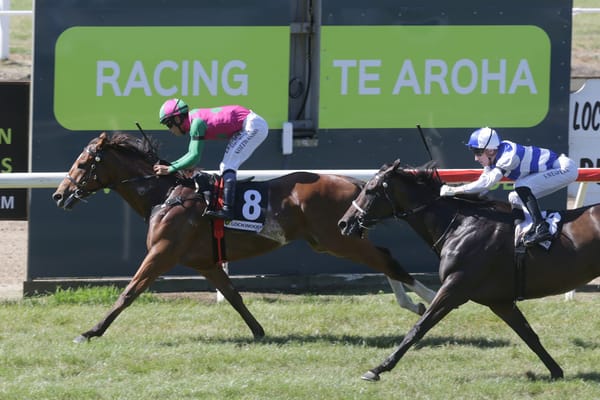 Cleverconversation out to advance Ruakaka record