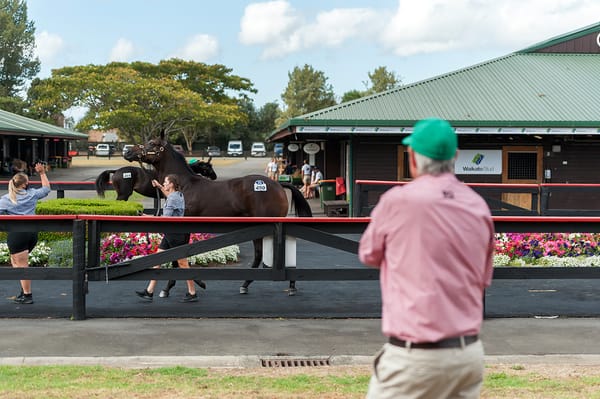 Entries Open for Karaka 2023