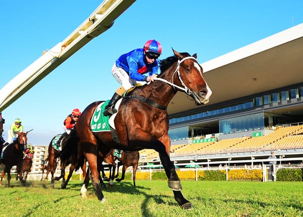 El Vencedor signs off in style