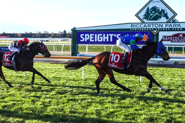 Frankie The Fox rewards trainer’s faith with Riccarton victory