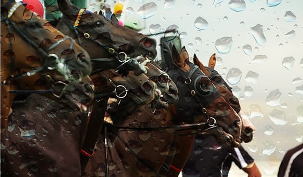 Last chance to enter Pearl Series