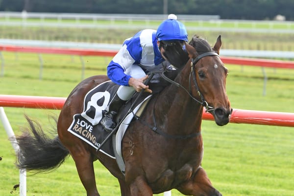 Sharrock debuts another impressive juvenile