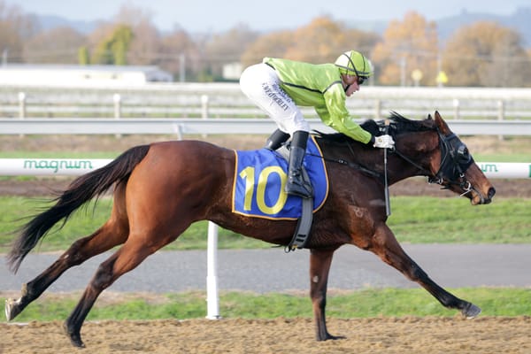 Weatherley riding crest of a wave