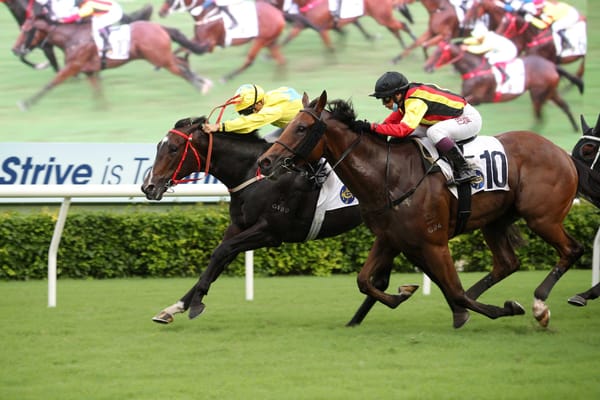 Lucky Sweynesse notches fourth win
