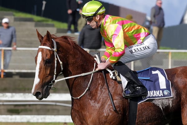 Marsh takes training honours with winning treble at Ruakaka