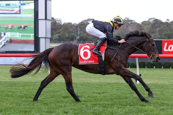 Kiwi-breds salute at Sandown