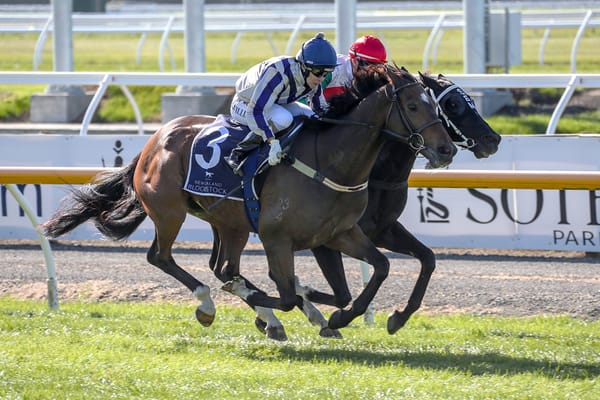 Bargain buy Original Gangster primed for Amberley Cup
