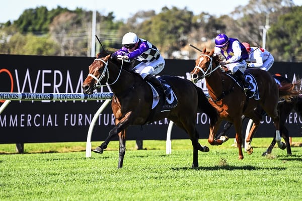 Waller unleashes promising colt at Rosehill