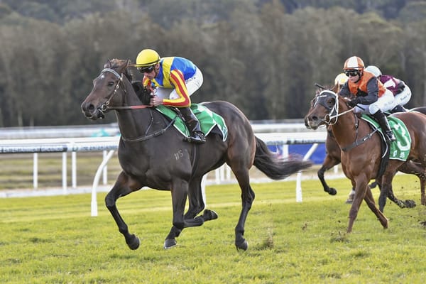 Bright future tipped for Po Kare Kare