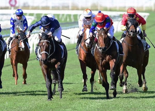 Rogerson believes he may have found his next champion