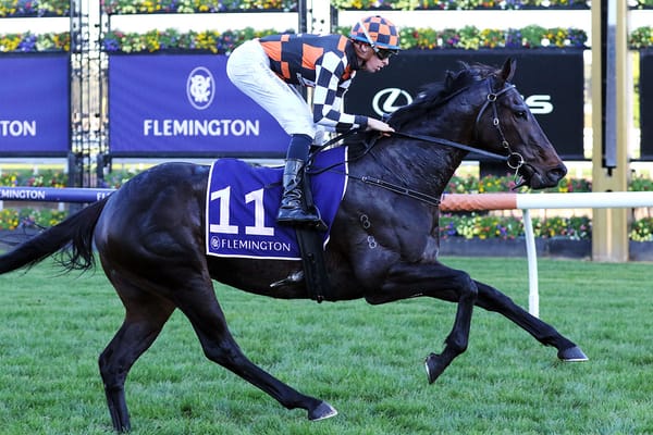 Texas Tea impresses at Flemington