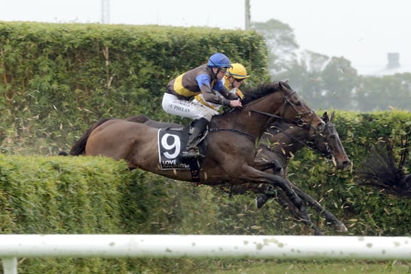 Clash of the titans at Hastings