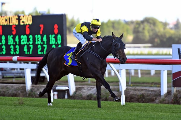 Grylls adds another Brisbane trip to busy schedule