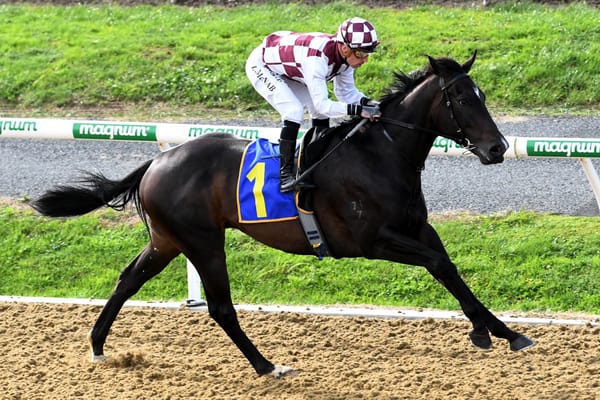 Foote using home track to advantage