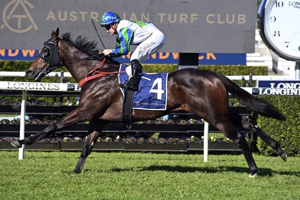 Lowry excited about prospects for Waihaha Falls