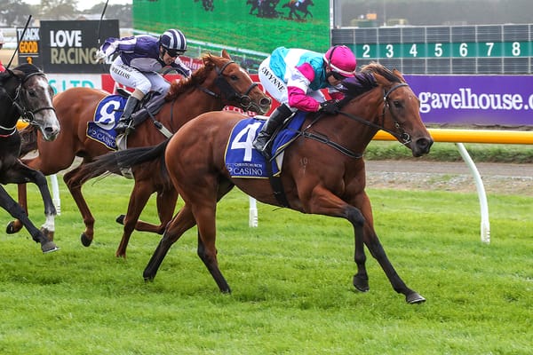 Ashburton age-group feature a treat for Chokito