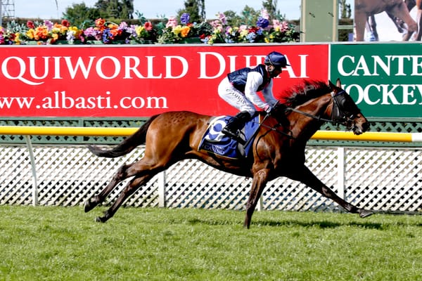 Special Stayer Tops National Broodmare Sale