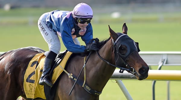 Establishment going from strength to strength for Thurlow