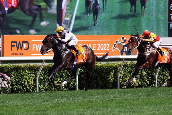 Golden Sixty claims back-to-back Horse of the Year titles at Hong Kong’s Champion Awards