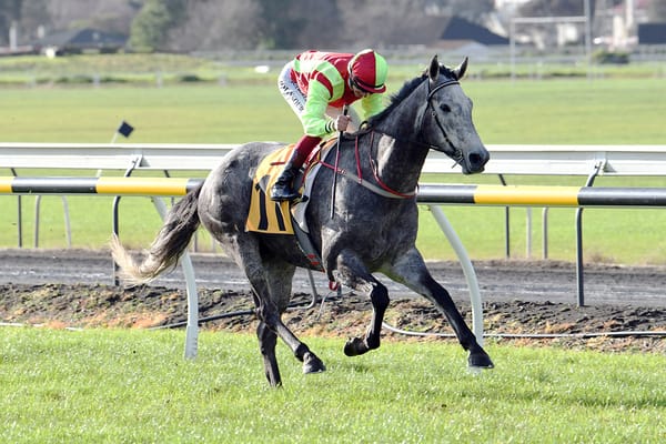 Hastings targets for Helena Baby