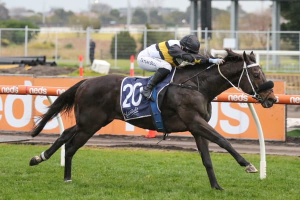 Shocking 4YO provides Bull with first