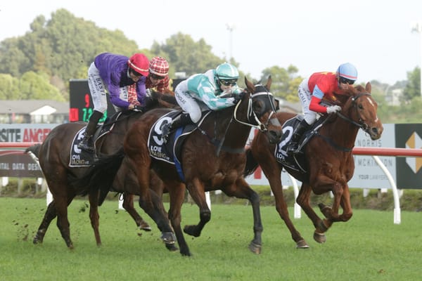 <strong>Jumping future looms for Indeem</strong>