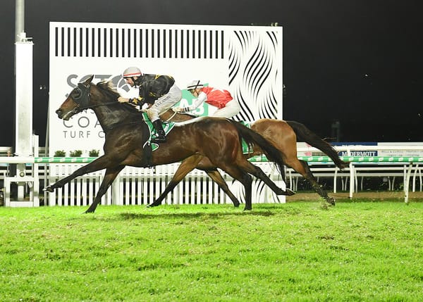 Tavistock mare lands Glasshouse