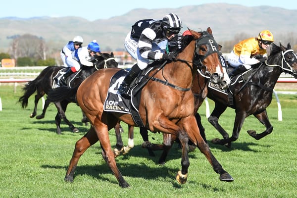 Late decision pays off for Howard