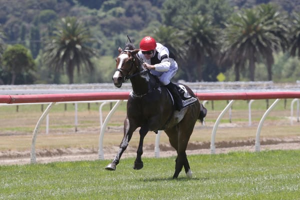 Important Cambridge assignment for Noble Win