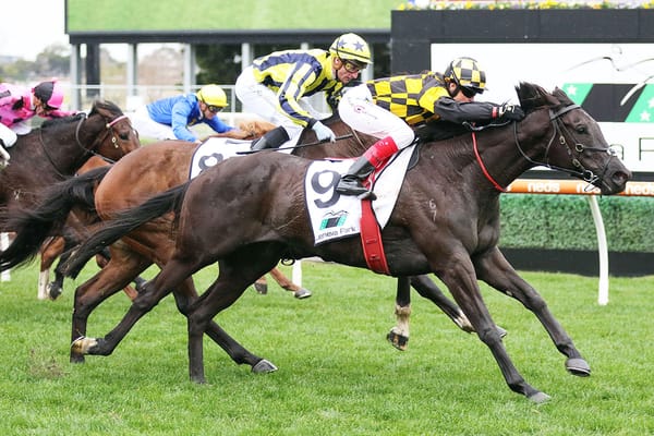 Caulfield success for Passione