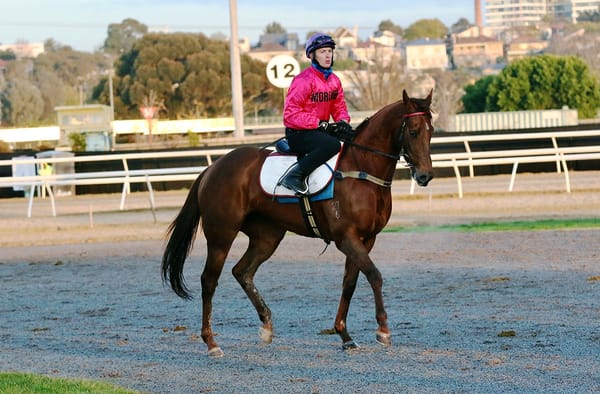 Kiwi trio please at Flemington