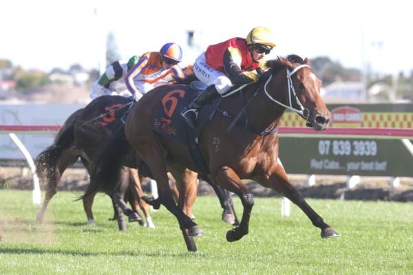 Sires a fey drawcard in 2022 National Broodmare Sale