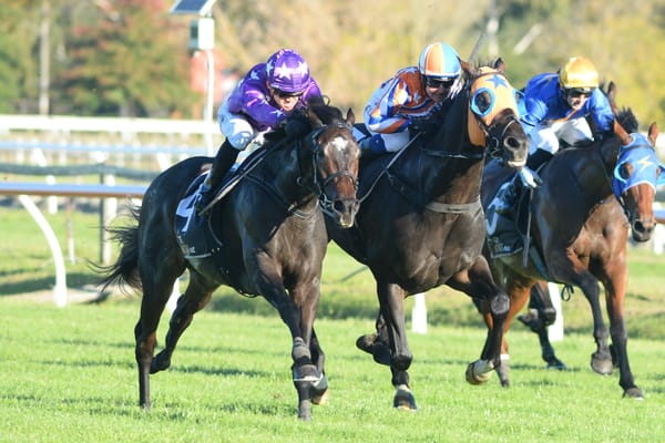 Caloundra Cup tilt for Swords Drawn