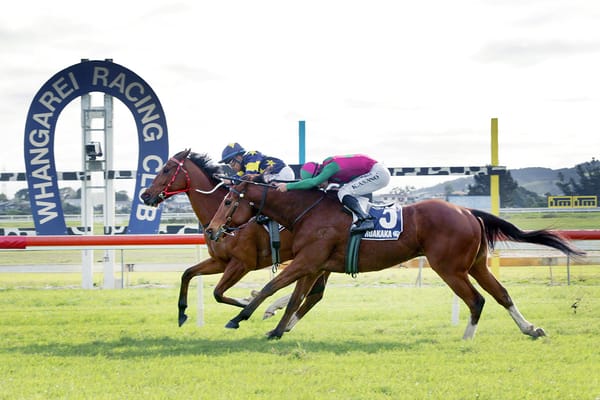 Rae pays tribute to long-term owner with Waipu Cup win