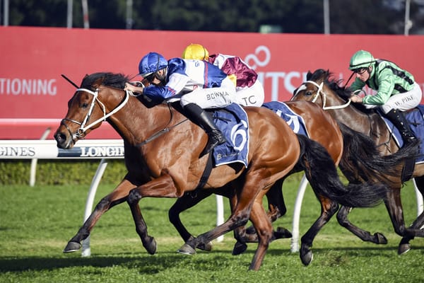 Premier's Cup next for Lord Ardmore