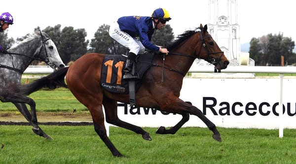 Impressive Hawera maiden winner no accident