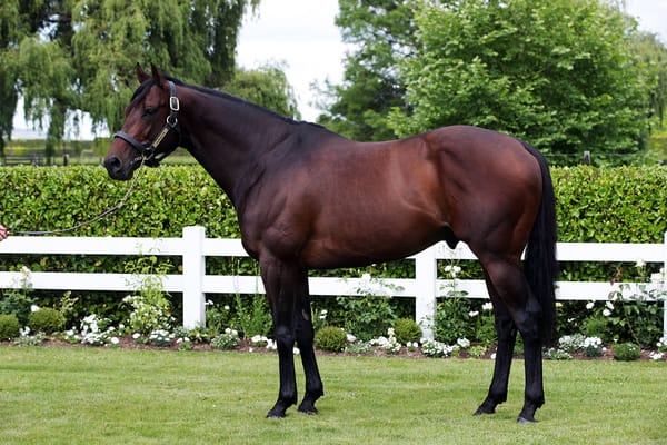 Almanzor's son boosts Group One hopes