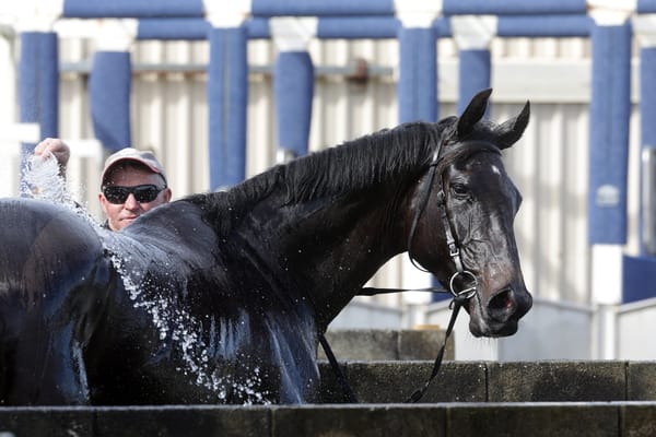 Brosnan scores double at Ruakaka