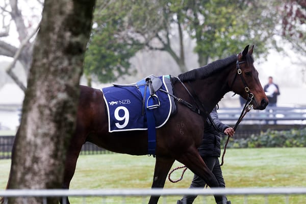 Tarzino target for Catalyst