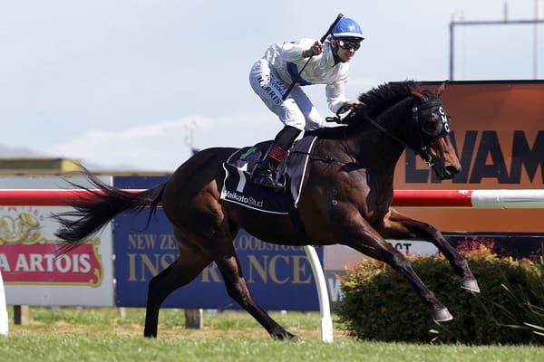 Raceday resumption delayed for Catalyst